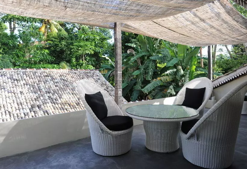 Fotos del hotel Villa Weli:  16