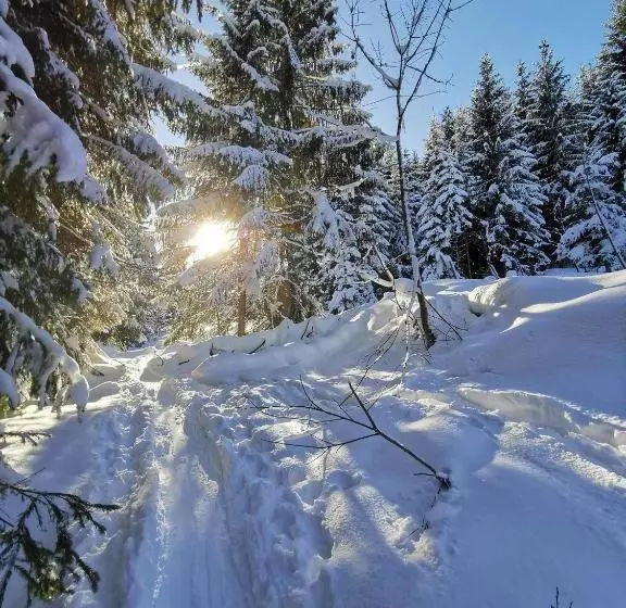 Fotos del hotel Pension Haus In Der Sonne:  6