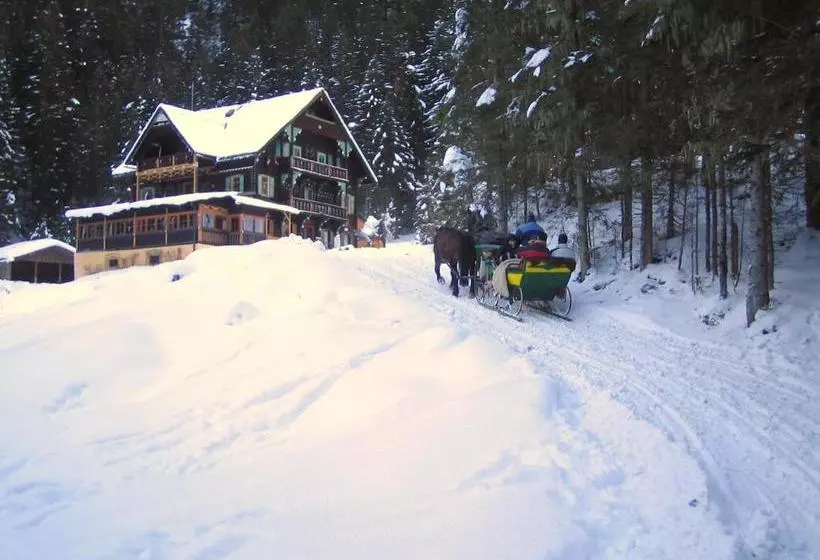 Fotos del hotel Kur-camping & Appartementhaus Erlengrund:  8