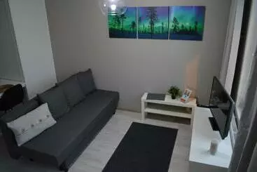 Aurora Haven Rovaniemi Modern Dt Apartment  Self Check In & Free Wifi - Rovaniemi