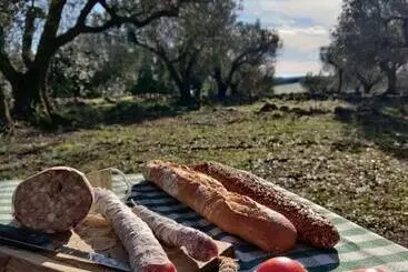 Can Barraca - Avinyonet de Puigventos