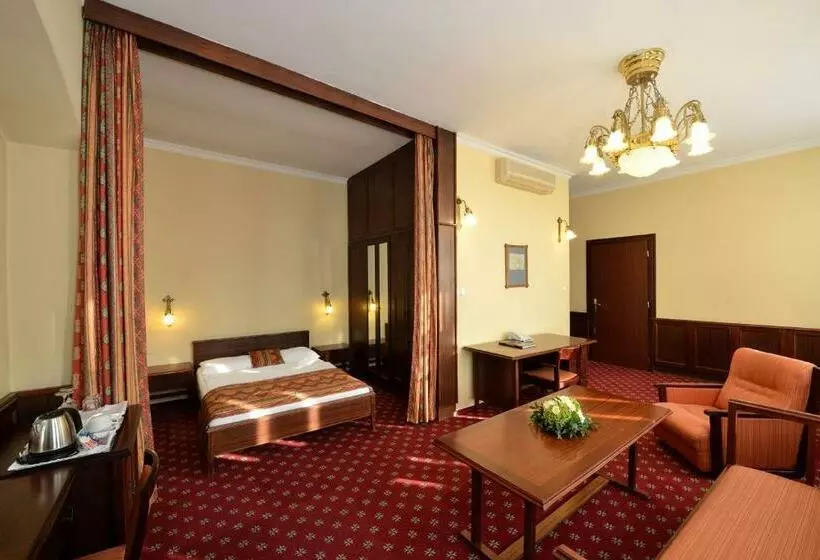 Fotos del hotel Palatinus Grand:  8