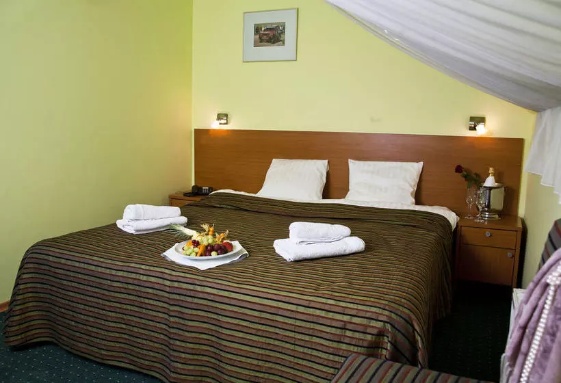 Fotos del hotel Airport Hotel Abc:  11