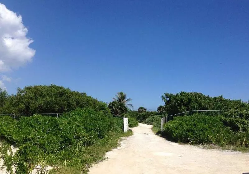 Fotos del hotel Casa De Los Angeles:  5