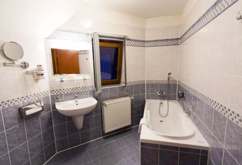 Fotos del hotel Hotel Modra Ruze:  14