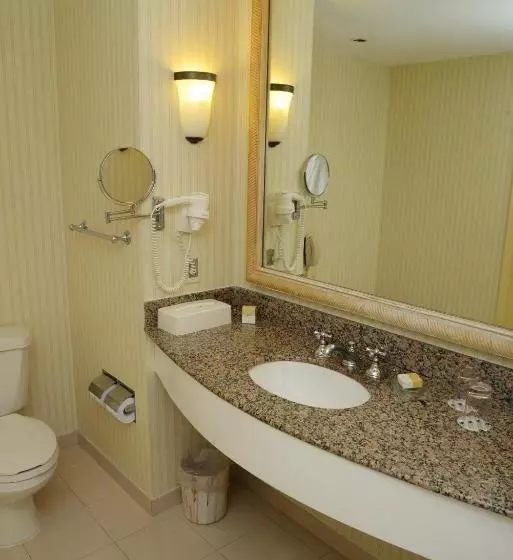 Fotos del hotel Enjoy Punta Del Este:  7