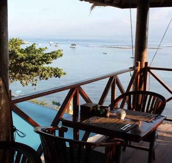 Fotos del hotel Coconuts Beach Resort:  3