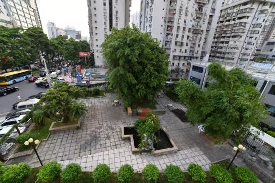 Fotos del hotel Xiamen Airline:  9