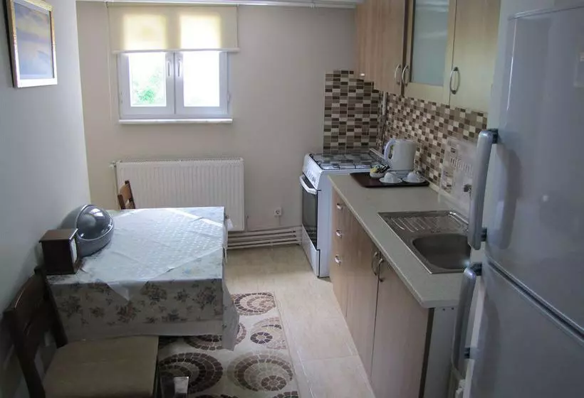 Fotos del hotel Effendi Apartment:  21