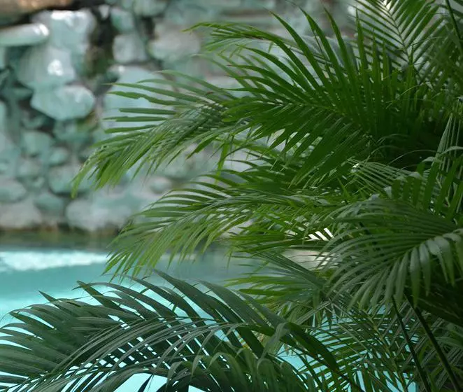 Fotos del hotel The Governor's House:  11