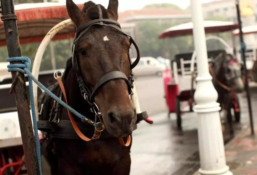 Fotos del hotel Indigo Tianjin Haihe, An Ihg:  12