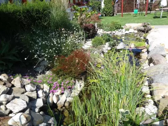 Fotos del hotel Bai Panzió:  12