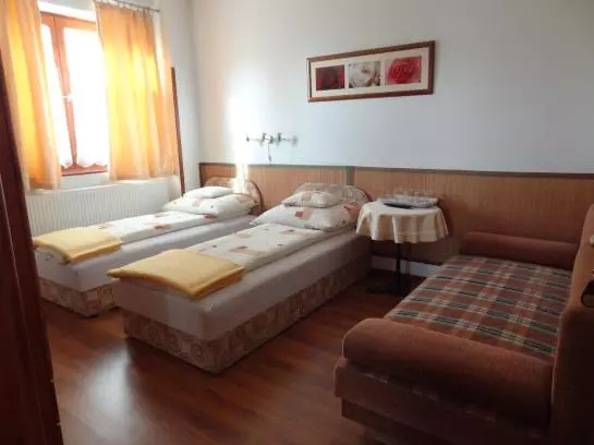 Fotos del hotel Bai Panzió:  8