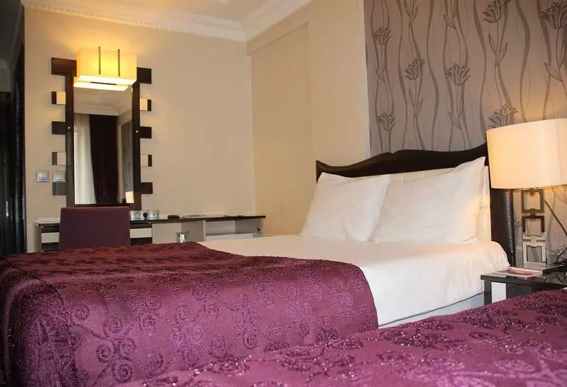 Fotos del hotel Ankara Risiss:  12