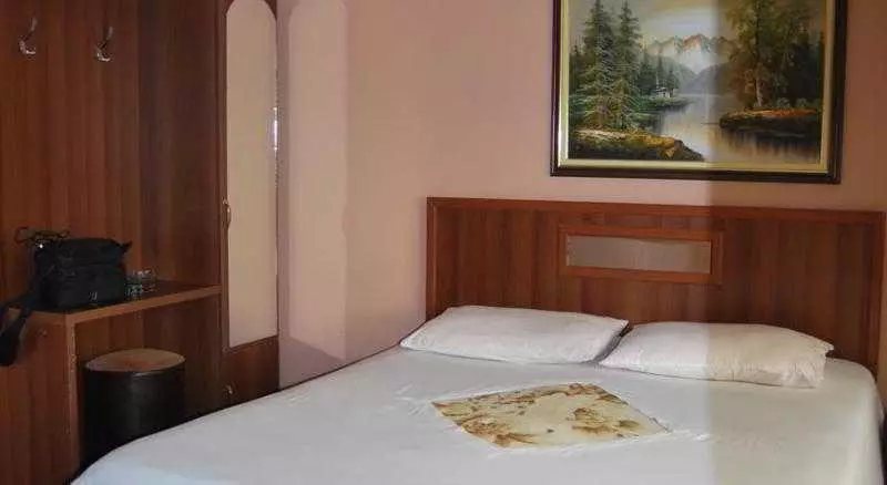 Fotos del hotel Alpin:  6