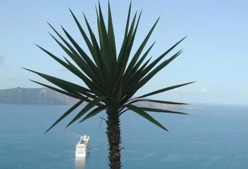 Fotos del hotel Villa Trieris:  13