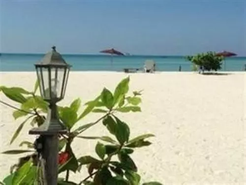 Fotos del hotel Seaview Rainbow:  7