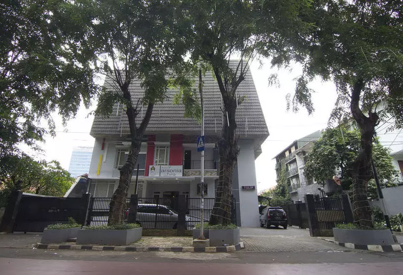 Fotos del hotel House Of Arsonia Tulip:  12