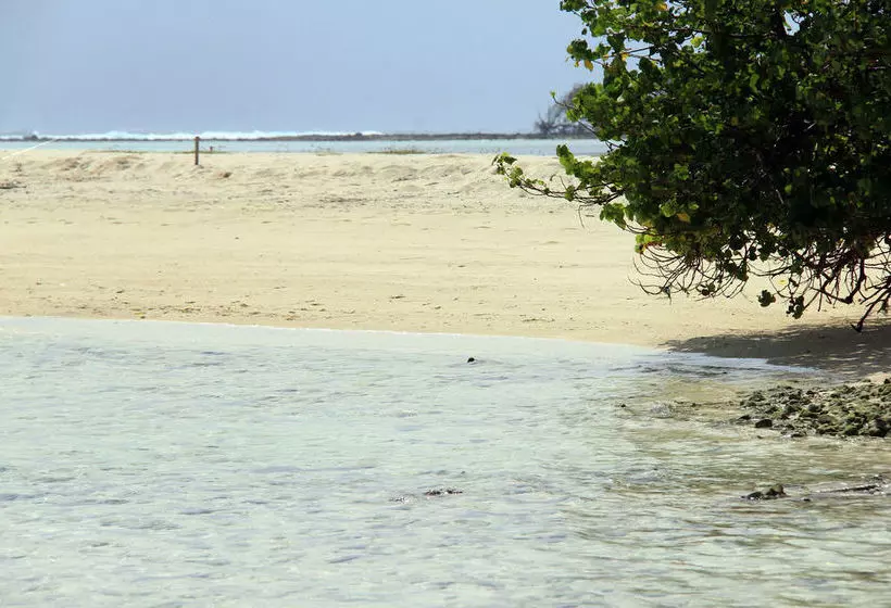 Fotos del hotel Rip Tide Beach:  13