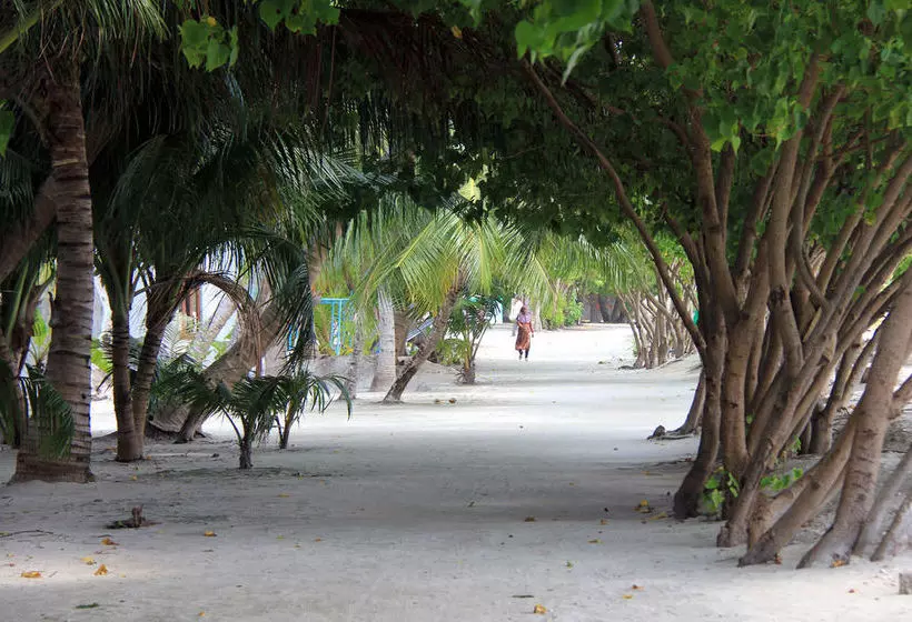 Fotos del hotel Rip Tide Beach:  14
