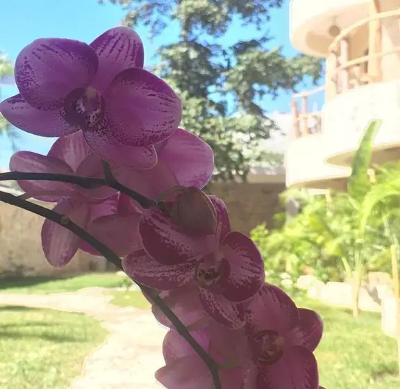 Fotos del hotel Jabin Tulum:  6